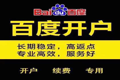 行业领先企业的SEM服务托管策略案例